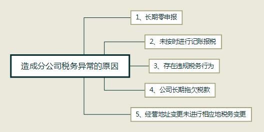 造成分公司税务异常的原因？如何解决？